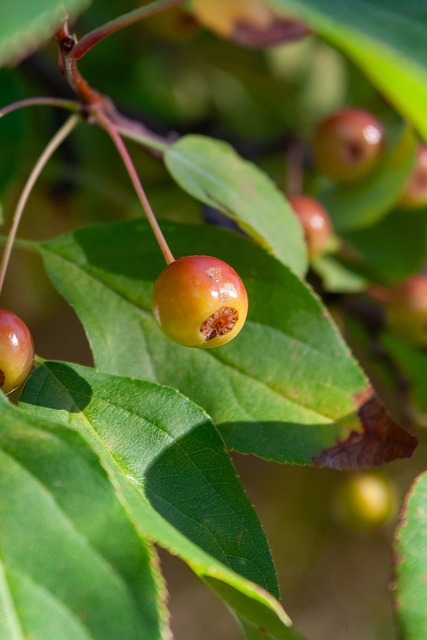其背后复杂 其背后复杂