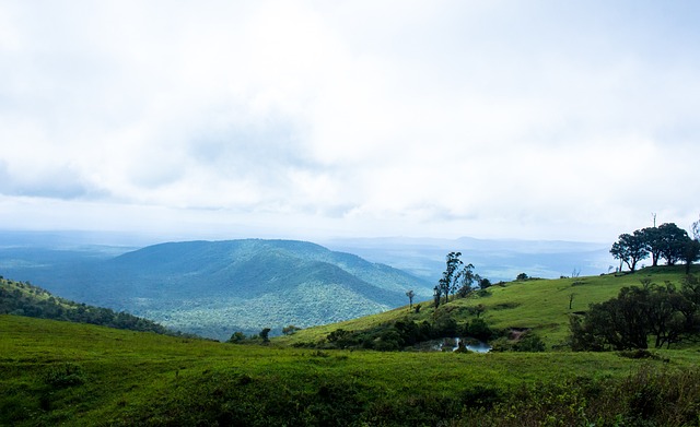 天赋多么卓 天赋多么卓