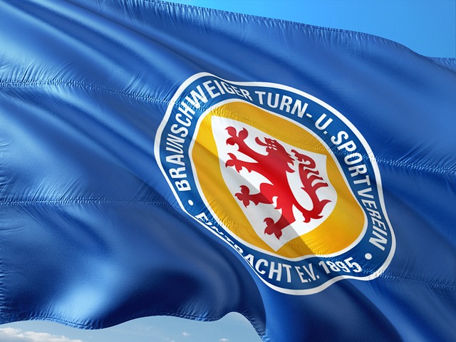 以期在老将 以期在老将