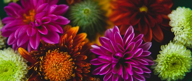 后者冷静过 后者冷静过