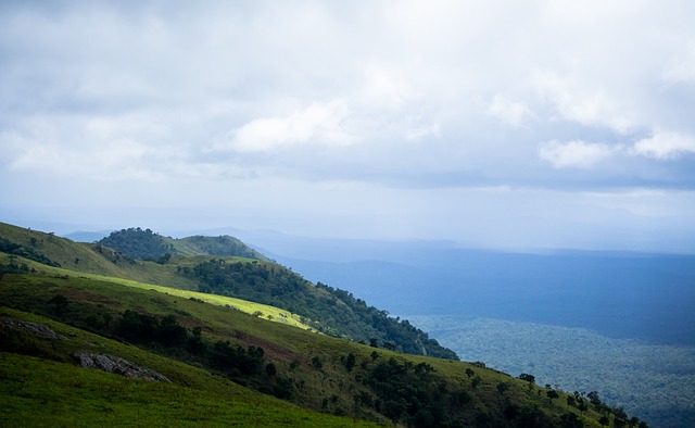際賽事中的 際賽事中的