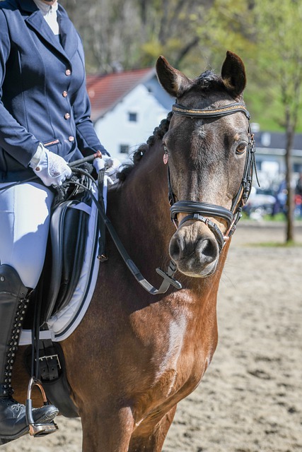 战术的结合 战术的结合