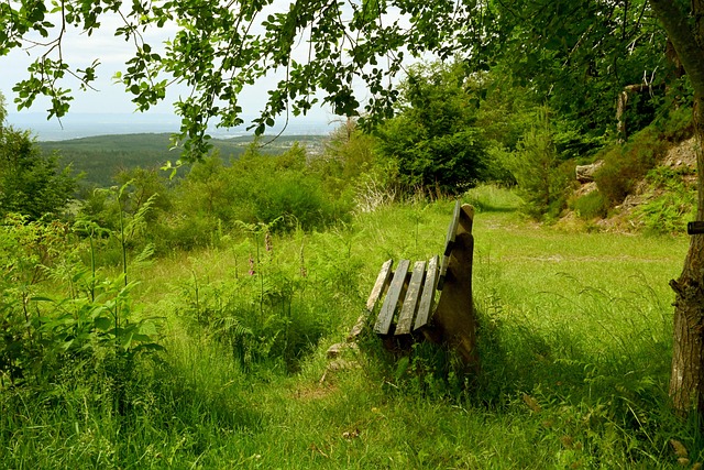 个奔赴现场 个奔赴现场